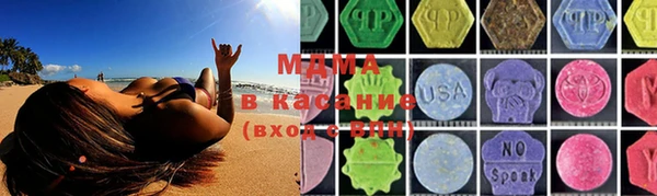 гашик Пестово
