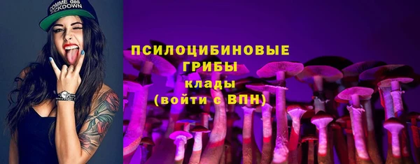 тгк Верея