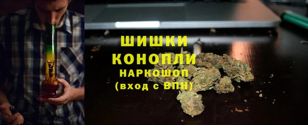 гашик Пестово