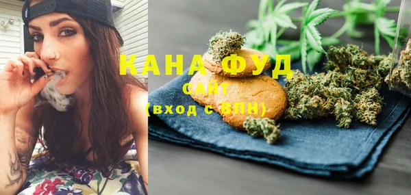 гашик Пестово
