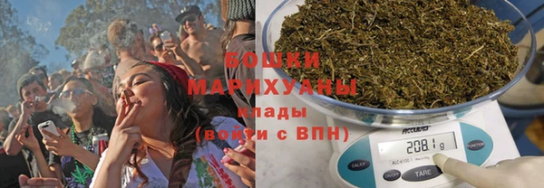 гашик Пестово