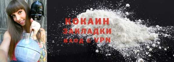 гашик Пестово