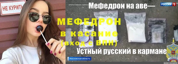 гашик Пестово