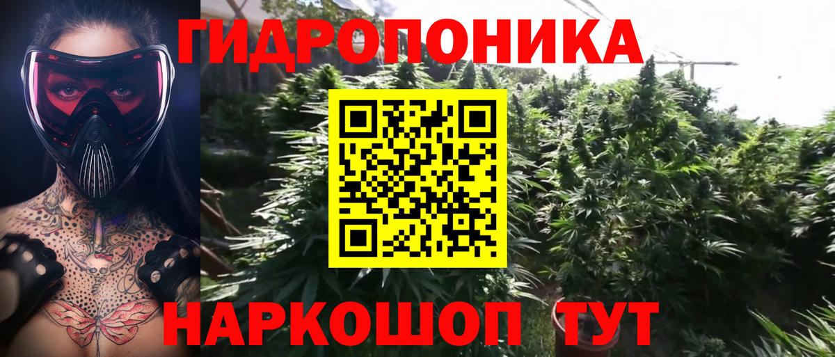 Бошки Шишки Amnesia Арсеньев